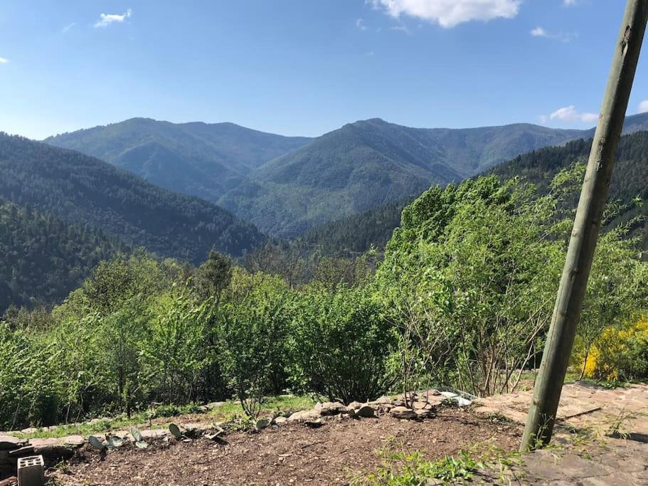 Maison rurale au cœur des Cévennes Ardéchoises Dompnac Exterior foto