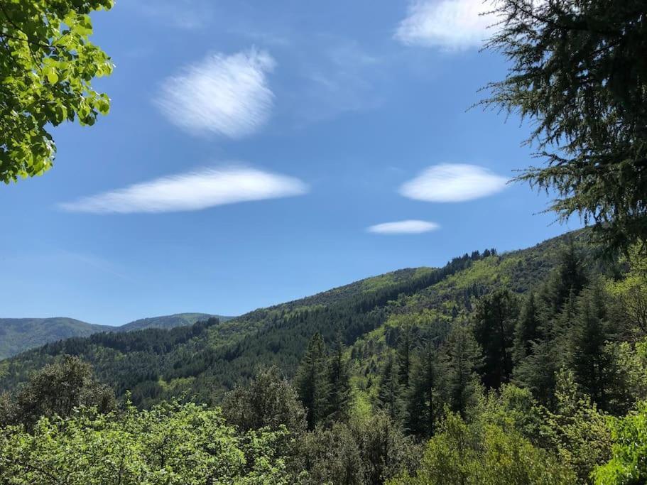 Maison rurale au cœur des Cévennes Ardéchoises Dompnac Exterior foto